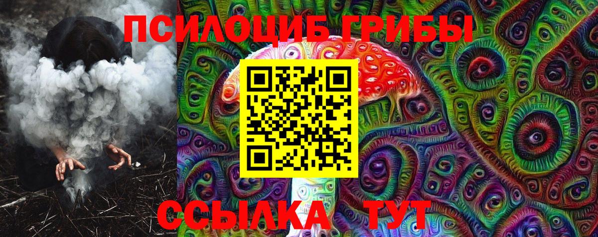 Кохма  Псилоцибиновые грибы прущие грибы  Псилоцибиновые грибы мицелий  Вход с VPN 